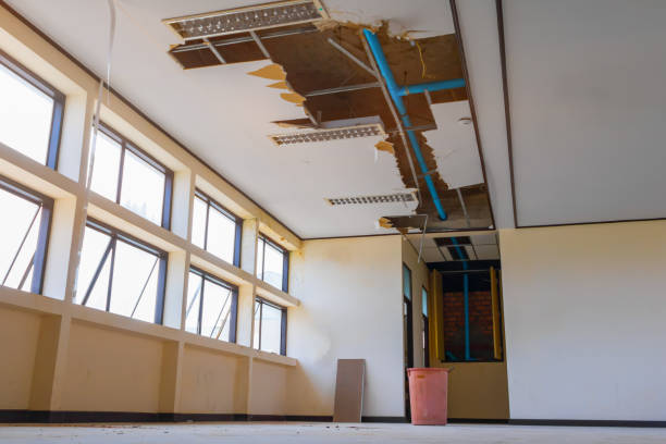 Best 24/7 water damage repair  in Medford, WI