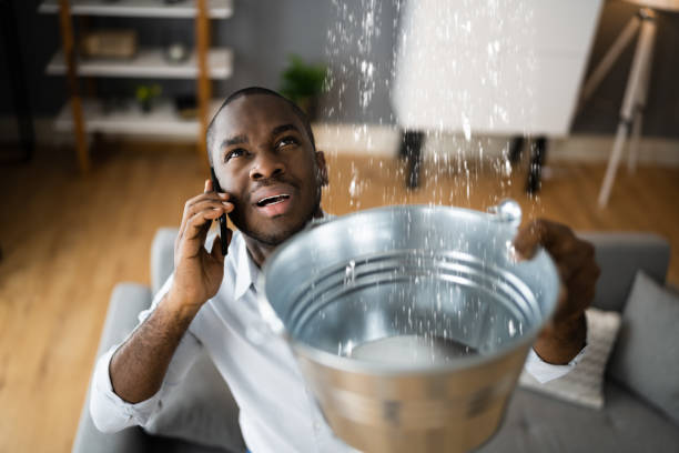 Best Emergency water extraction  in Medford, WI