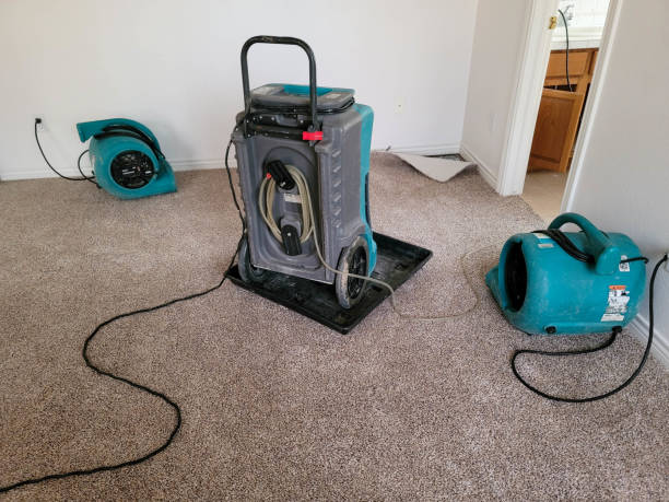 Best Flood damage cleanup  in Medford, WI