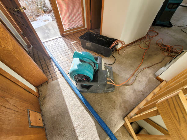 Best Water damage restoration near me  in Medford, WI