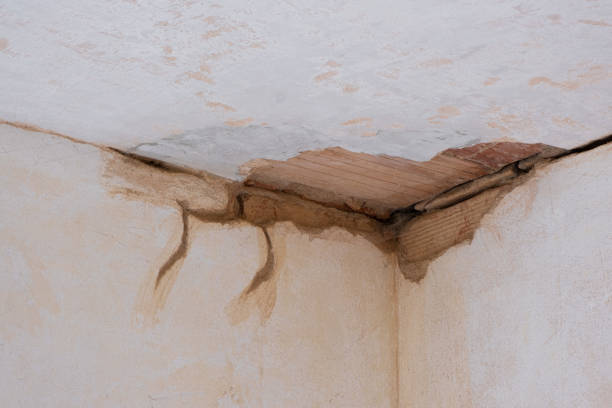 Best Water damage restoration near me  in Medford, WI