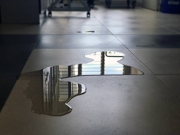 Best Commercial water damage restoration  in Medford, WI