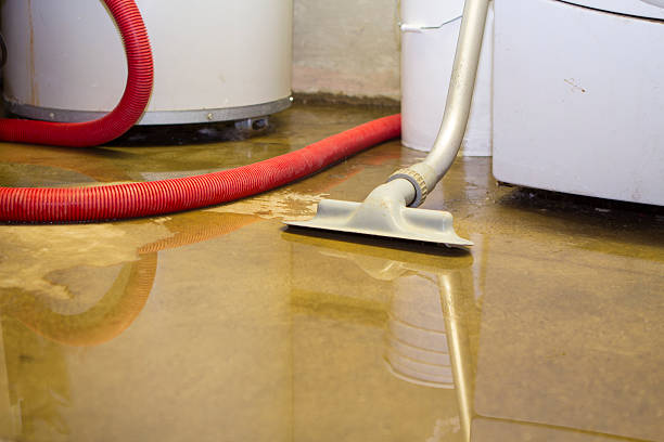 Best Water damage mitigation services  in Medford, WI