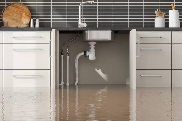 Best Ceiling water damage repair  in Medford, WI